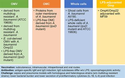 Challenges for Clinical Development of Vaccines for Prevention of Hospital-Acquired Bacterial Infections